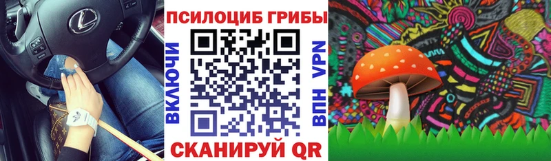 Псилоцибиновые грибы Psilocybe  купить   Жуков 