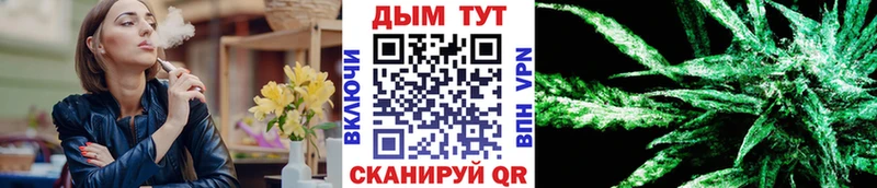 omg как зайти Жуков Шишки марихуана гибрид